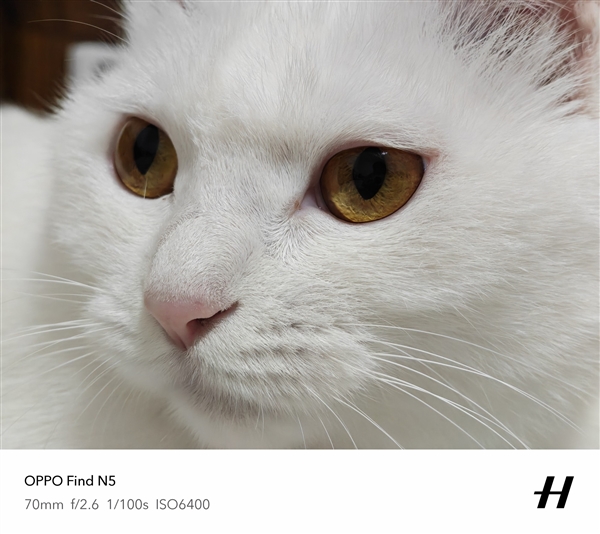 机圈中的珠穆朗玛峰！OPPO Find X8 Ultra五摄解读